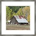 Vintage Wooden Barn With Autumn Poplars Framed Print