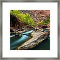 Virgin River In Zion National Park Framed Print