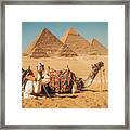 Visit To The Pyramids Framed Print