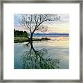 Visualizing Spring Framed Print