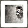 Vulnerable African Lion In The Dust Framed Print