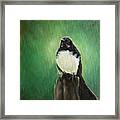 Wagtail Framed Print