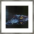 Waiting In The Moonlight Framed Print