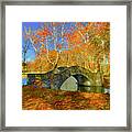 Walking Bridge Framed Print