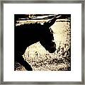 Walking Donkey Framed Print