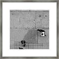 Walking The Dog Framed Print