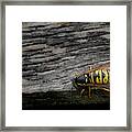 Wasp On Wood Framed Print