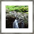 Water And Moss Framed Print