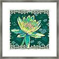 Water Lily And Lace Framed Print