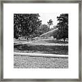 Water Spray Orchard Framed Print