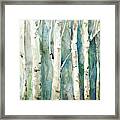 Watery Birch 2 Framed Print