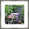 Weathered Wooden Chair In Front Of Wild Rose Rosa Multiflora Framed Print