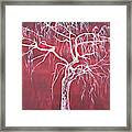 Weeping Red Framed Print