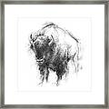 Western Animal Sketch I Framed Print