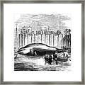 Whale Captured In The Thames, Grays Framed Print