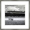 Whale Tail Framed Print