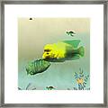 Whimsical Fish Framed Print