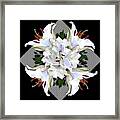 White Lily Collage For Pillows Framed Print