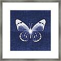 White And Indigo Butterfly 1- Art By Linda Woods Framed Print