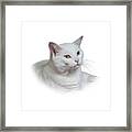 White Cat On A Transparent Heart Framed Print