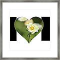 White Cosmos In Heart With Little Girl Mom Big Letter Framed Print
