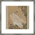 White Eagle Eyeing A Mountain Lion Framed Print