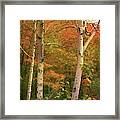 White Mountains Series Framed Print