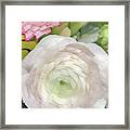 White Rose Pastel Framed Print