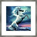 White Stallion Framed Print