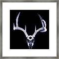 White-tailed Deer X-ray 003 Framed Print