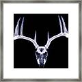 White-tailed Deer X-ray 009 Framed Print