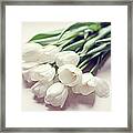 White Tulips Laying On Side Framed Print