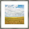 Wide Sky Rolling Wheat Framed Print