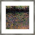 Wild Cherry Tree In The Fall, Golden Reflections On The River Framed Print