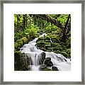 Wild Forest Waterfall Idyllic Green Framed Print