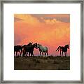 Wild Horse Sunset In Ute Country Framed Print