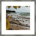 Wild Superior Framed Print