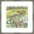 Wild Woodland Ii Framed Print