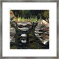 Wilderness Painting Adventure Ep 44 Framed Print