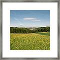 Wildflower Field Framed Print