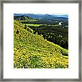 Wildflower Mountain In Wyoming Framed Print