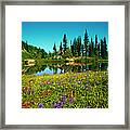 Wildflowers And Alpine Lake, Mount Framed Print