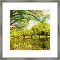 Wildflowers At The River Framed Print
