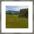 Wildflowers Grow Where Planted Framed Print