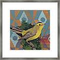 Wilsons Warbler Framed Print