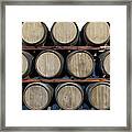 Winery Oak, Barrels At A Bodega On Framed Print