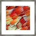 Wing Scales Of A Moth Scoliopteryx Framed Print