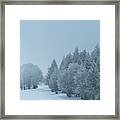 Winter Dreams - 1 Framed Print