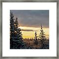 Winter Forest Sunrise Framed Print