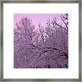 Winter In New England Framed Print